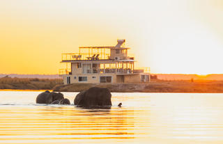 Chobe Princess with Elephants crossing 1