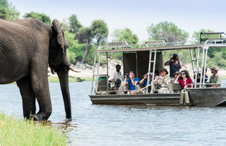 Zambezi Queen Collection Game Viewing 37