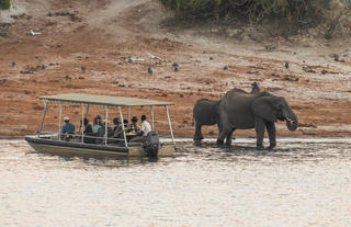 Zambezi Queen Collection Game Viewing Tender Boat 