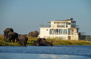 Zambezi Queen Collection_Game Viewing_Water based safari