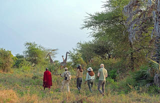 Nature walk with Maasai