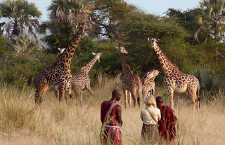 A Walking Safari