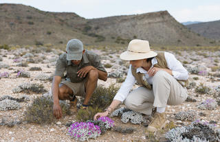 Guest Experience at Sanbona Wildlife Reserve