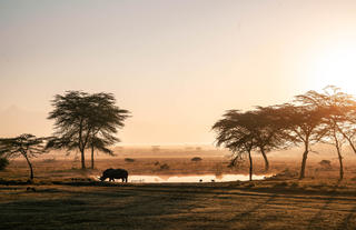 Watering hole at Solio Lodge