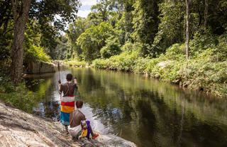 Kitich Camp Culture / Nature