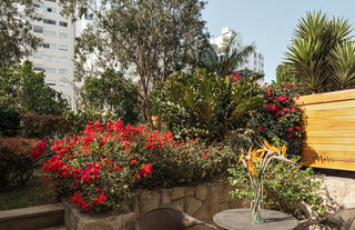Garden Junior Suite