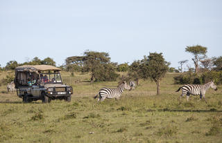 Game drive in Ol kinyei conservancy