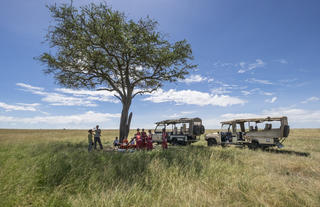 Bush Meal in the Mara