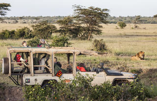 Game drive in Ol Kinyei conservancy