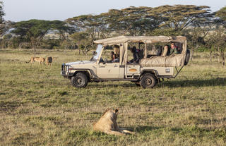 Game drive in Ol Kinyei conservancy