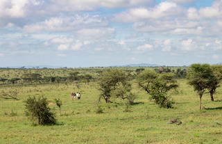Lemala Kuria Hills Lodge