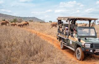 Game Drive