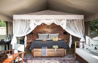 Guest Tent