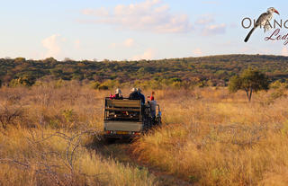 Nature Drive