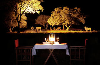 Dinner close to the waterhole