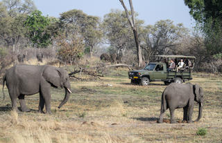 Game Drive