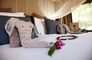 Chisomo Safari Lodge Bedrooms 