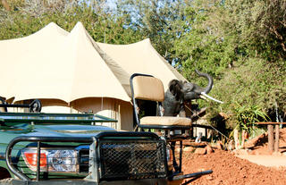 Reception at Chisomo and safari vehicle 