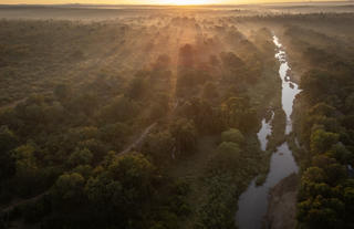 Karongwe River Safari Lodge