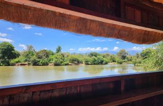 Bird Hide at River Lodge 