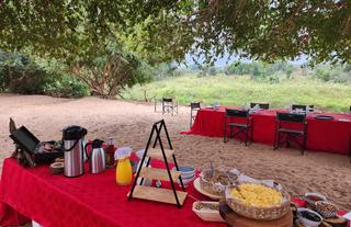 Bush Breakfasts 