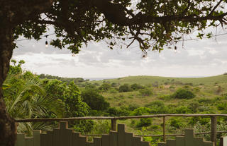 Ubunye Main Area View