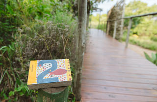 Ubunye Walkway