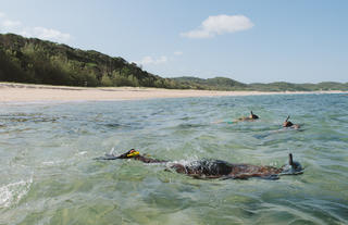 Lala Nek Snorkelling