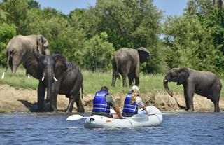 Victoria Falls River Lodge - Canoe Safari
