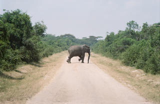 Kyambura Gorge Lodge 