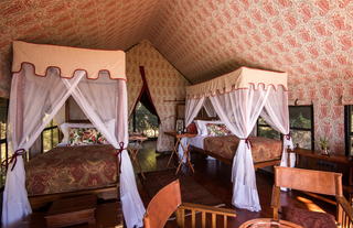 Duke's Camp - Twin Tent Interior 