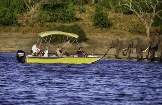 Boat Cruise Chobe National Park