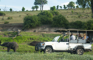Chobe River Camp