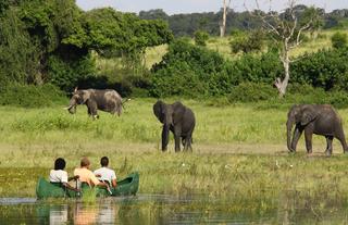 Chobe River Camp