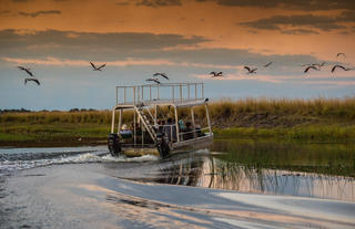 Chobe River Camp