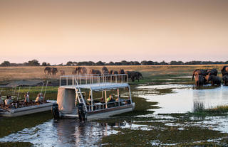 Chobe River Camp