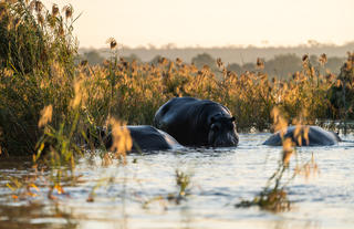 Mukwa River Lodge - River Safari Activity