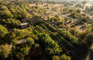 Mukwa River Lodge - Organic Gardens