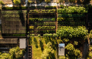 Mukwa River Lodge - Organic Gardens