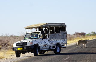Etosha Safari Lodge