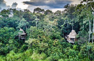 Lango Lodge - Kamba African Rainforest Experiences