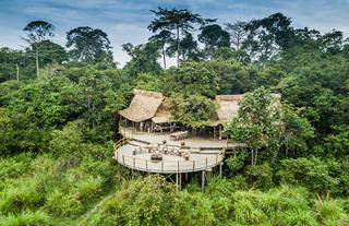 Lango Lodge - Kamba African Rainforest Experiences