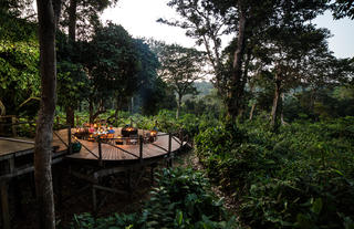Ngaga Lodge - Kamba African Rainforest Experiences