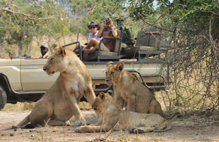 Game Drives 