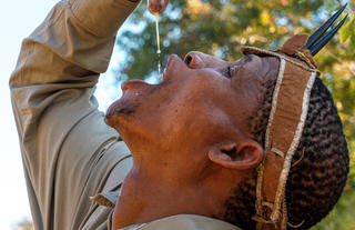 Bushman Activity