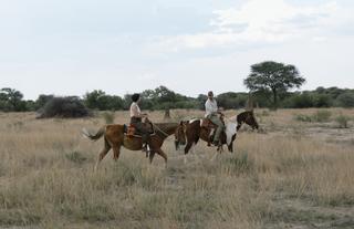 Horse riding