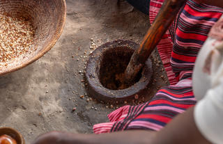 Ongula Activity