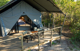 Machaba Camp - Luxury tent