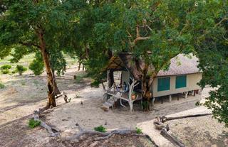 Safari Tent