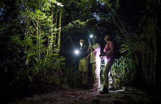 Masoala Forest Lodge - activity (night walk)